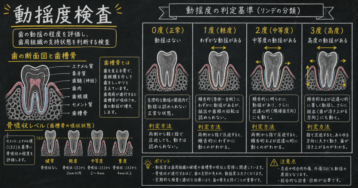 歯がグラグラする原因と「骨吸収」のメカニズム