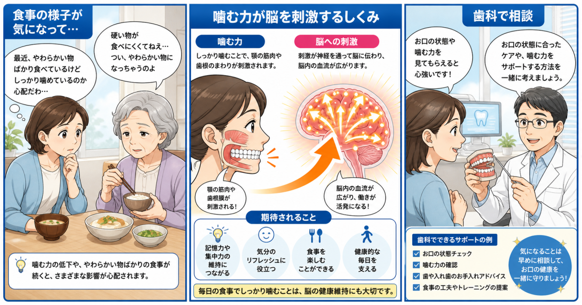 親の物忘れが心配な方へ｜咀嚼と認知機能の関係と予防歯科ケア